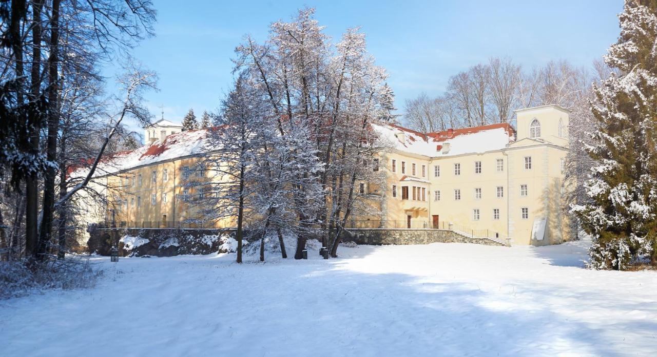 Zamek Na Skale Otel Trzebieszowice Dış mekan fotoğraf