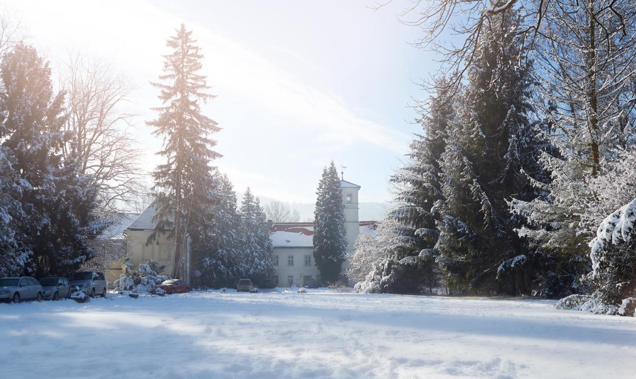 Zamek Na Skale Otel Trzebieszowice Dış mekan fotoğraf