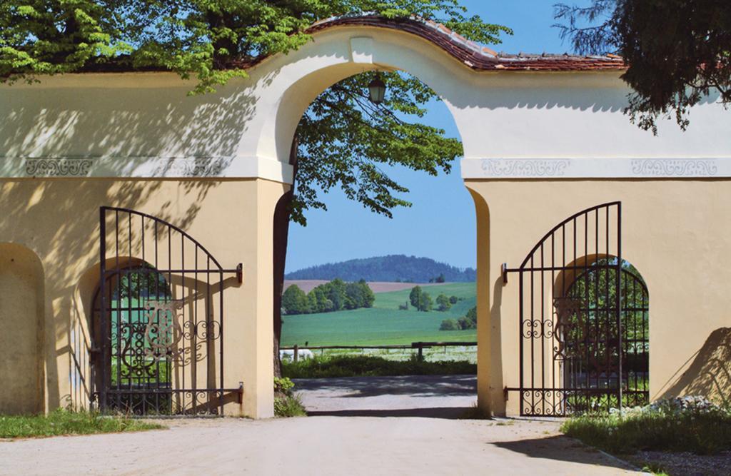 Zamek Na Skale Otel Trzebieszowice Dış mekan fotoğraf